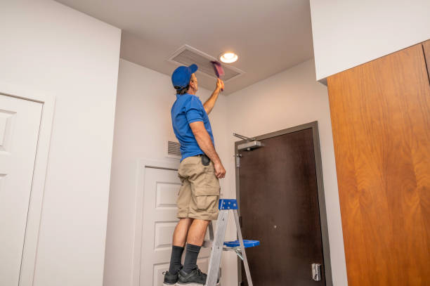 Best Local Air Duct Cleaning Services  in Ilchester, MD